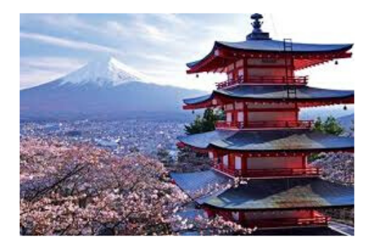 Study Abroad and Internship Opportunities in Japan